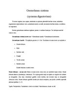 Referāts 'Gremošanas sistēma un stomas', 4.