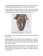 Referāts 'Gremošanas sistēma un stomas', 6.