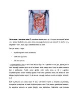 Referāts 'Gremošanas sistēma un stomas', 9.