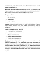 Referāts 'Gremošanas sistēma un stomas', 10.