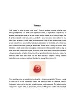 Referāts 'Gremošanas sistēma un stomas', 11.