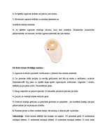 Referāts 'Gremošanas sistēma un stomas', 19.