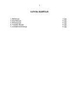 Referāts 'Juridiskās tipizācijas paņēmieni', 2.