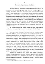 Referāts 'Mantojuma apsardzības nepieciešamība un tiesiskais regulējums', 8.