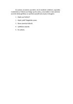 Eseja 'Runāšanas daļa latviešu valodas eksāmenam. Futbols', 2.