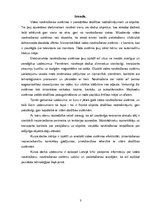 Referāts 'Video novērošanas sistēmas', 3.