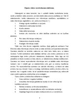 Referāts 'Video novērošanas sistēmas', 6.