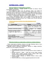 Konspekts 'Koksnes hidrotermiskā apstrāde', 10.