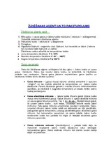 Konspekts 'Koksnes hidrotermiskā apstrāde', 32.