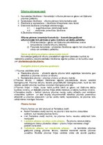 Konspekts 'Koksnes hidrotermiskā apstrāde', 42.