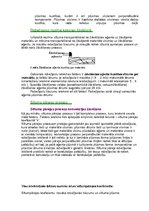 Konspekts 'Koksnes hidrotermiskā apstrāde', 43.