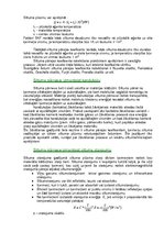 Konspekts 'Koksnes hidrotermiskā apstrāde', 44.