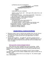 Konspekts 'Koksnes hidrotermiskā apstrāde', 48.