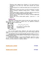 Konspekts 'Koksnes hidrotermiskā apstrāde', 52.