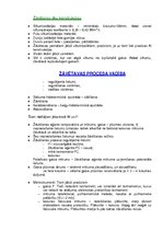 Konspekts 'Koksnes hidrotermiskā apstrāde', 74.