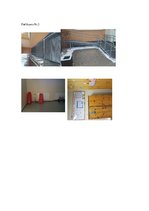 Eseja 'Patstāvīgais darbs pirmsskolas un sākumskolas pedagoģijā', 8.