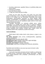 Referāts '"Coca-Cola" brends', 5.