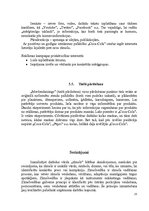 Referāts '"Coca-Cola" brends', 25.