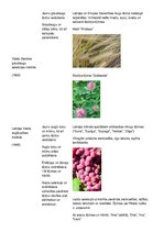 Konspekts 'Selekcija Latvijā', 2.