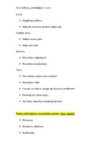 Konspekts 'Filmas "The Prince of Tides" analīze', 4.