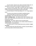 Referāts 'SIA "Cerība"', 3.