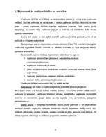 Referāts 'SIA "Cerība"', 4.