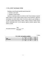 Referāts 'SIA "Cerība"', 11.