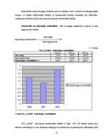 Referāts 'SIA "Cerība"', 19.