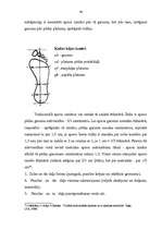 Diplomdarbs 'Sākotnējie trasoloģiskie pētījumi notikuma vietā', 40.