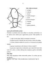 Diplomdarbs 'Sākotnējie trasoloģiskie pētījumi notikuma vietā', 41.