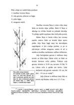 Diplomdarbs 'Sākotnējie trasoloģiskie pētījumi notikuma vietā', 42.
