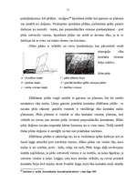 Diplomdarbs 'Sākotnējie trasoloģiskie pētījumi notikuma vietā', 51.