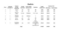 Paraugs 'Drošas braukšanas kursi', 8.