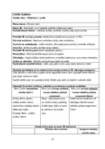 Prakses atskaite 'Pirmsskolas skolotāja pedagoģiskā prakses  dienasgrāmata', 16.