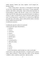 Prakses atskaite 'SIA "North Technology Group"', 17.