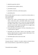 Prakses atskaite 'SIA "North Technology Group"', 19.