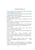 Prakses atskaite 'SIA "North Technology Group"', 38.