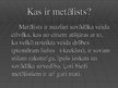 Prezentācija 'Metālisti', 5.