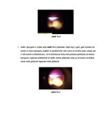 Paraugs 'Polarizācijas iekārta', 5.