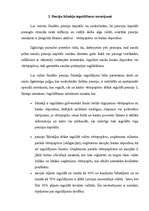 Referāts 'Pensiju fondi', 9.