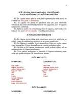 Paraugs 'Līgums par fiziskas personas automašīnas iznomāšanu', 4.