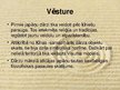 Prezentācija 'Japānas dārzi', 3.