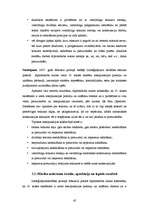 Diplomdarbs 'Desmitās klases skolēnu interpunkcijas prasmju pilnveidošanas iespējas latviešu ', 38.