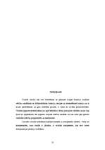 Diplomdarbs 'Desmitās klases skolēnu interpunkcijas prasmju pilnveidošanas iespējas latviešu ', 51.