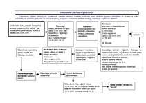 Konspekts 'Lietvedības palīgmatreiāli', 43.
