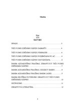 Referāts 'Lietošanas instrukcija darbam ar trīsposmu izbīdāmajām kāpnēm', 2.