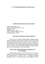 Referāts 'Lietošanas instrukcija darbam ar trīsposmu izbīdāmajām kāpnēm', 4.