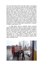 Referāts 'Lietošanas instrukcija darbam ar trīsposmu izbīdāmajām kāpnēm', 5.