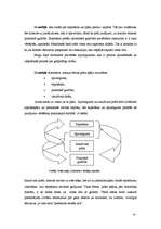 Referāts 'Aristotelis "Nikomaha ētika"', 6.