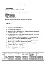 Konspekts 'Plaušu dzīvības tilpums', 1.